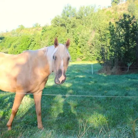 3 Etoiles - Piscine - Ccbfcea Kemp