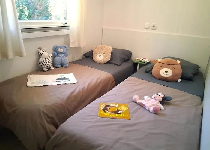 3 Etoiles - Piscine - Ccbfcea Belmont-sur-Rance